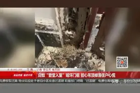 大量白蚁在家中筑巢啃噬家具，令人头皮发麻！如何防范看这里→图片