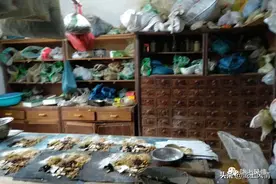 岐黄济世 杏林春暖——致敬民间乡医先贤图片