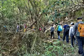 「十里春风 古道悠悠」穿越灵川杜鹃古道的“沧桑岁月”图片