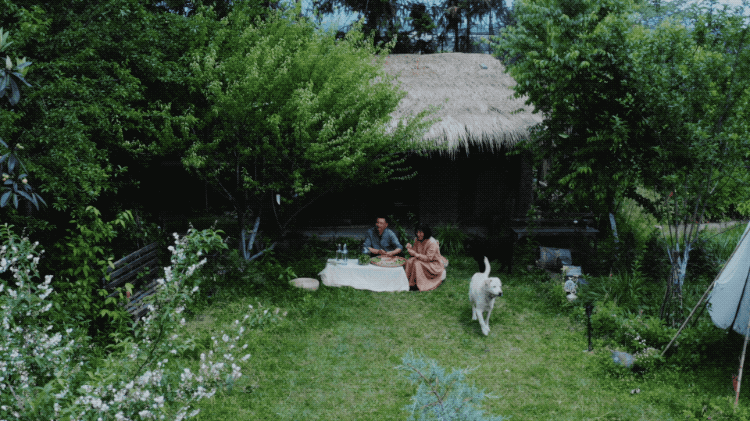 节奏大师木槿破解版（IT夫妇中年辞职）