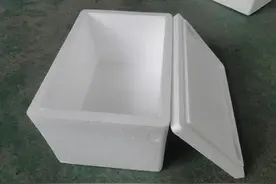 农村老人在家用泡沫箱孵小鸡，年年都是这样做，方法非常简单图片