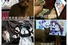 陪伴我美好童年的宠物们，居然以人形重现在我眼前？图片