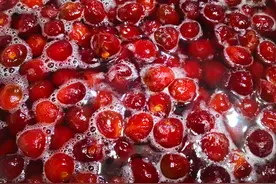 此果正当季，遇到别手软，一次多买点煮好存冰箱，随吃随取特省事图片