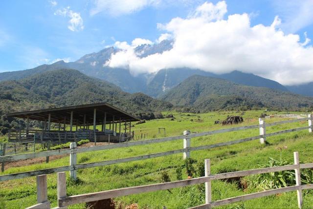 马来西亚沙巴地图 2026年马来西亚沙巴地图位置