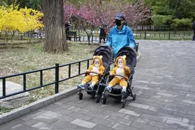 2010年，56岁失独母亲再次受孕诞下龙凤胎，后靠女儿拥千万豪宅图片