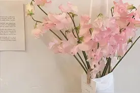 两个人断联后，男人的这个“反常”，是在告诉你：我想和你在一起图片