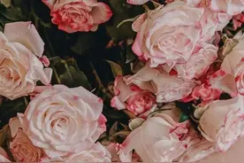 精神操控的五大手段：性格软弱的人，要防止它入侵你的大脑图片