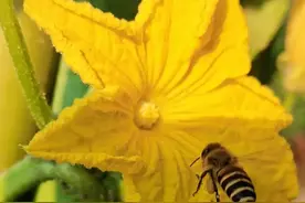 老年人再婚有多难图片