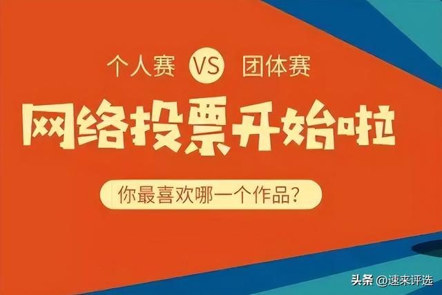 ��ͶƱ��ѡ����漰����ͶƱ��������Щ��