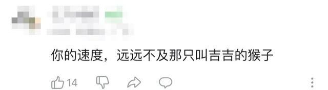 《只狼》，在发售2年后再度出圈