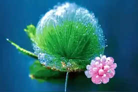 适合做手机锁屏壁纸的图片，惊艳！图片