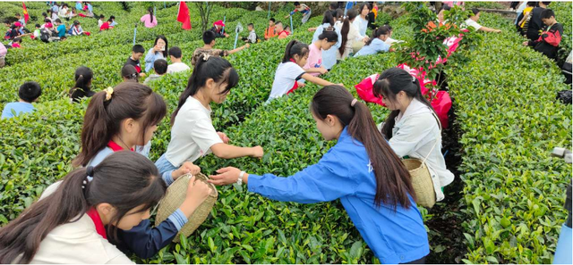 四川省民生研究会新媒体中心-官网