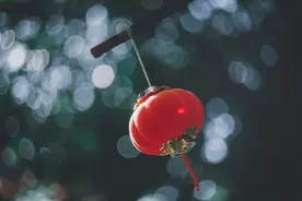 雅致不俗的古人名，太好听了，你最喜欢哪一个？图片