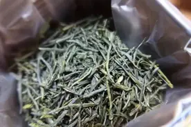 唐宋遗风 | 恩施玉露图片