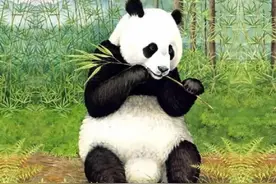 我们的国宝小可爱熊猫宝宝的日常生活萌照图片