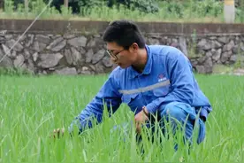 承包700亩地！临安这位大学生回乡当农民，在田野上放飞创业梦想图片
