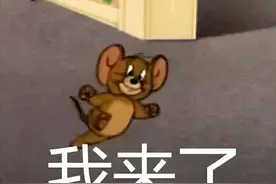 刚拿到驾照先别着急开车，记清楚这几点，出门无忧！图片