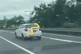 约4米长黄金蟒盘踞车尾！高速公路出现离奇一幕，是宠物？图片