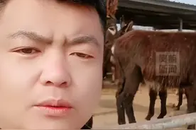 笑麻了！广西网友直播间买山东驴，网友评论驴会不会水土不服啊图片