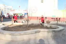 【劳动创造幸福】陈娟：乐为城市美图片