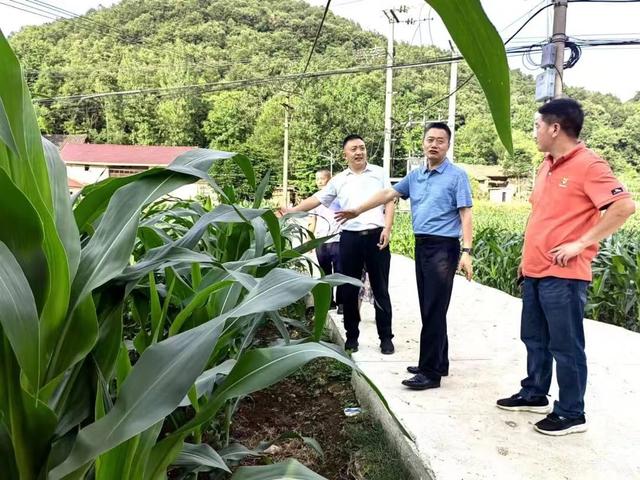 湖北襄陽隆中風景區 找准需求點 紓困解民憂 全力辦好民生實事 Free Website Templates Download