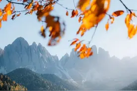 已婚女人跳交谊舞，跟男舞伴会有外遇吗？这个女人说了内心话图片