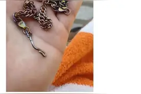 我是学医的，我爸是法医，我大一挂了解剖，差点被打断腿图片