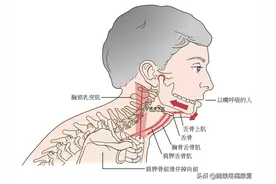 颞下颌功能紊乱的分析与治疗图片