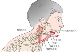 颞下颌功能紊乱的分析与治疗图片