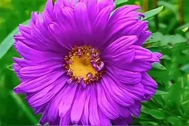 侄女在姑姑家住了一阵子，姑姑却落个吃力不讨好，嫂子不理她了图片