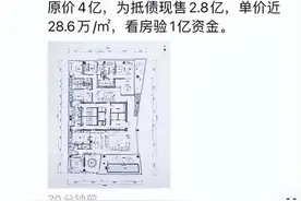 传喜茶创始人花2.7亿，买下许家印深圳湾一号豪宅图片
