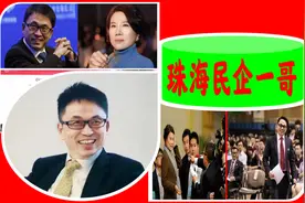 广东珠海“民企一哥”：年营收超1800亿，背后第一大股东究竟是谁图片