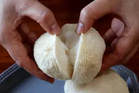 菌菇中的“爱马仕”!它是天然的“养胃宝”，建议中老年人多吃图片