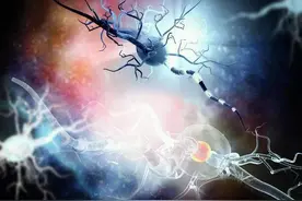 铁线虫是怎么控制螳螂的大脑，让螳螂落水自杀的图片