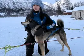 为何说挪威没几个中国人待得住？网友：待了几个月，实在太孤独了图片
