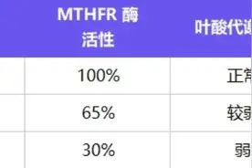 怎样看孕期叶酸基因检测结果？图片