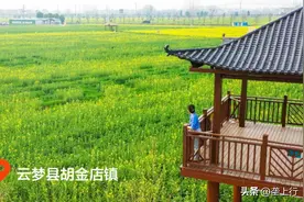 阳春三月 湖北看“海”攻略图片