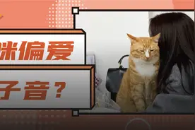 铲屎官学会夹子音，猫咪永远不变心图片