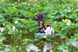 精品线路 | 罗源县：千年文脉 灵秀古村图片