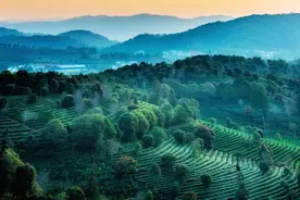 浙江省2023年1月高考英语 应用文全析全解图片