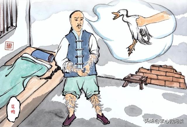 哲理故事丨骂鸭