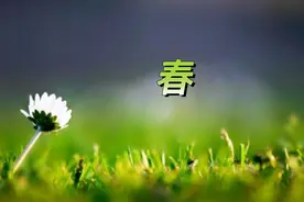 春天到，宁可不吃肉，也别错过4种“碱性茶”，补水养人气色好图片