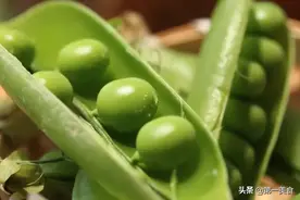 三月豌豆是个宝，蛋白质丰富好吸收，孩子爱吃，个子蹭蹭长图片