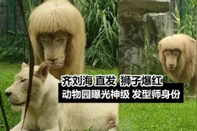 狮子剪齐刘海走红-发型师是谁？图片