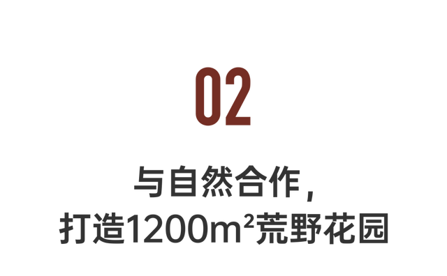 IT夫妇中年辞职，拿下1200㎡荒地归隐，如今第七年了