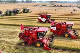 10公斤小麦收割机，山东巨明vs雷沃谷神，配置对比见分晓图片