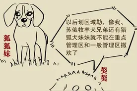 10月1日起，这32种犬禁养!图片
