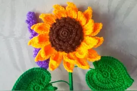 双层向阳花向日葵太阳花的详细钩织图解，钩织简单图片