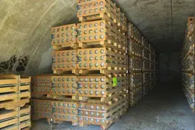 全球最大弹药库在哪里？储量足够打一次世界大战，谁野心这么大？图片