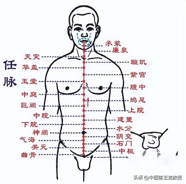 经络不通百病生！老中医分享经络堵塞症状，快来看看你是哪里不通
